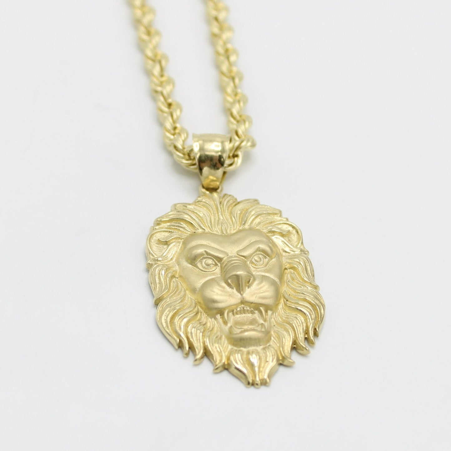 14K Lion đŚ Pendant with Rope Chain Yellow Gold