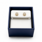 Ice with double-sided tiara of the Virgin Mary and Jesus, diamond earrings