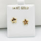 14K Star Earrings Yellow Gold