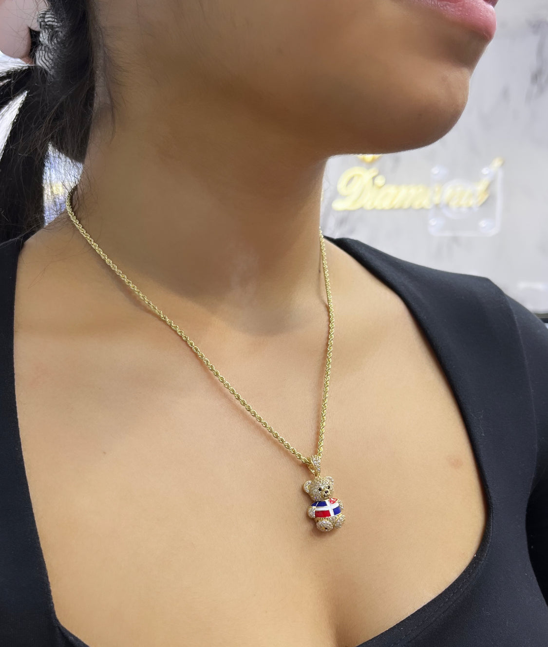 14K Teddy Bear Cz Pendant (Dominican Flag) with Hollow Rope Chain Yellow Gold